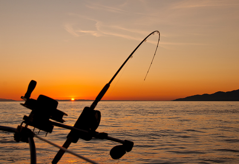 free stock photo of angler, angling, boat free stock photo of angler, angling, boat