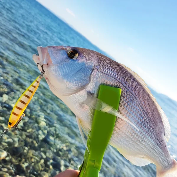 tsurinoya 70s 70mm 7.6g sinking pencil fishing lure swordsman bass trout artificial hard baits long casting slim lipless lure