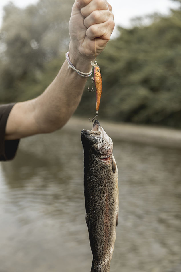 person fishing fish with rod free image person fishing fish with rod free image